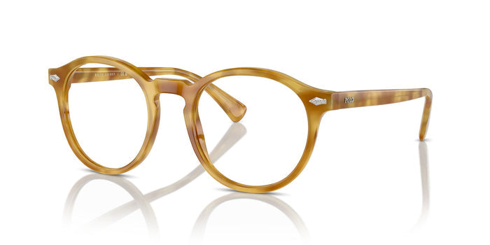Shiny Light Brown Tortoise/Brown / 51