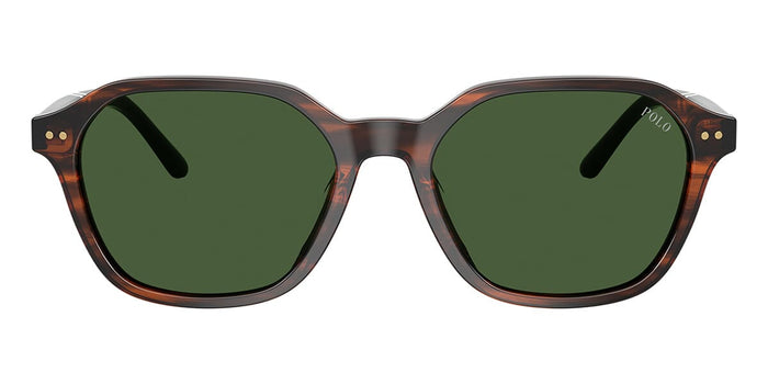 Polo Ralph Lauren PH4234U #colour_shiny striped brown/bottle green
