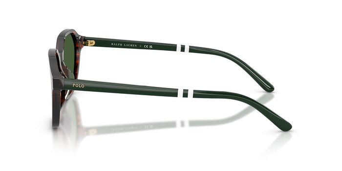 Polo Ralph Lauren PH4234U #colour_shiny striped brown/bottle green