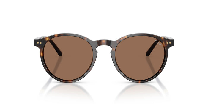 Polo Ralph Lauren PH4236 Shiny Dark Havana/Brown #colour_shiny-dark-havana-brown