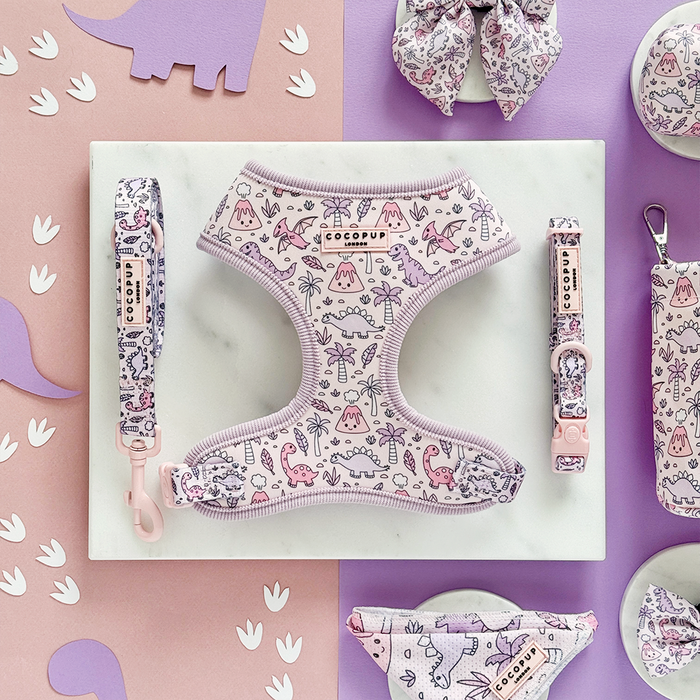 Pink and purple Cocopup London Princess Dino harness, lead, and collar set with playful dino pattern.