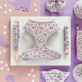 Pink and purple Cocopup London Princess Dino harness, lead, and collar set with playful dino pattern.
