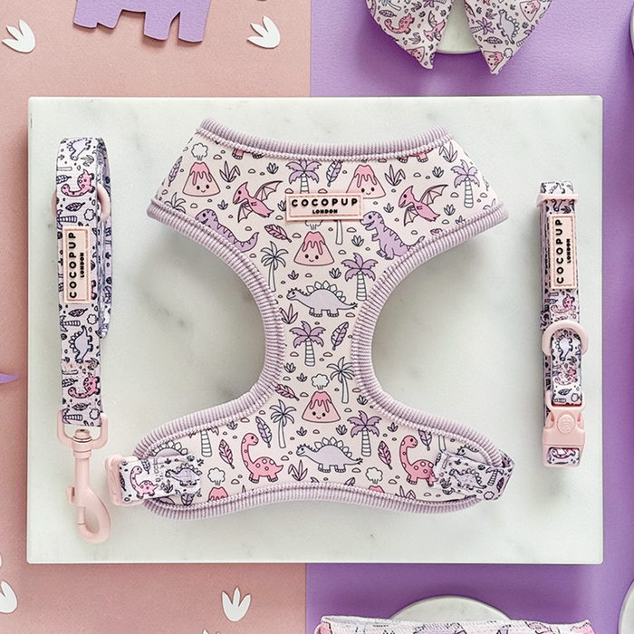 Pastel pink and purple harness, leash, and collar with dinosaur print; adjustable neck.