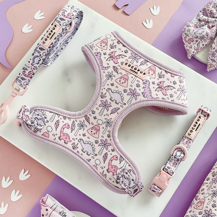 Pink and white Cocopup London harness set with dinosaur pattern displayed on a white background.