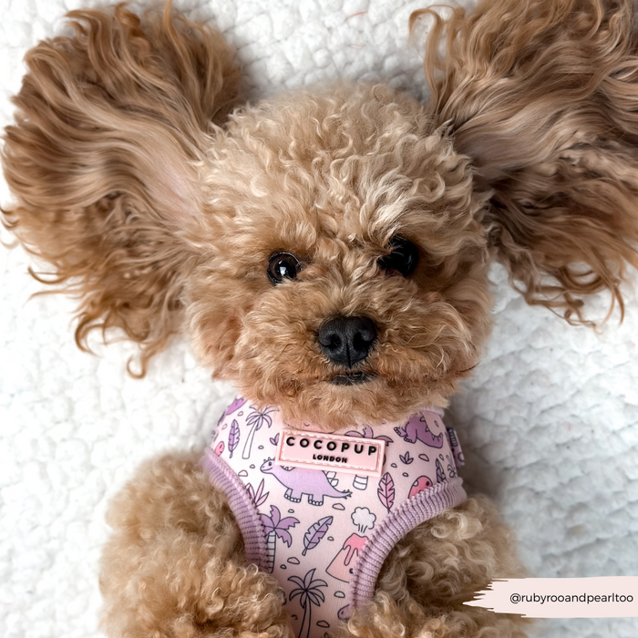 Brown fluffy dog with large ears wears a pink Cocopup London Princess Dino harness, lying on a white blanket.