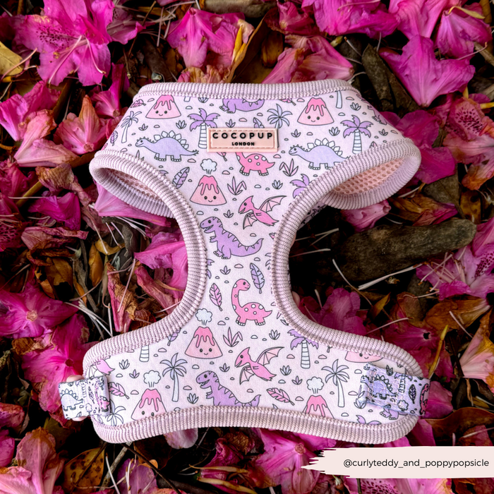 Pink and green dinosaur-print adjustable dog harness with silver hardware, lying on the ground among pink flower petals.