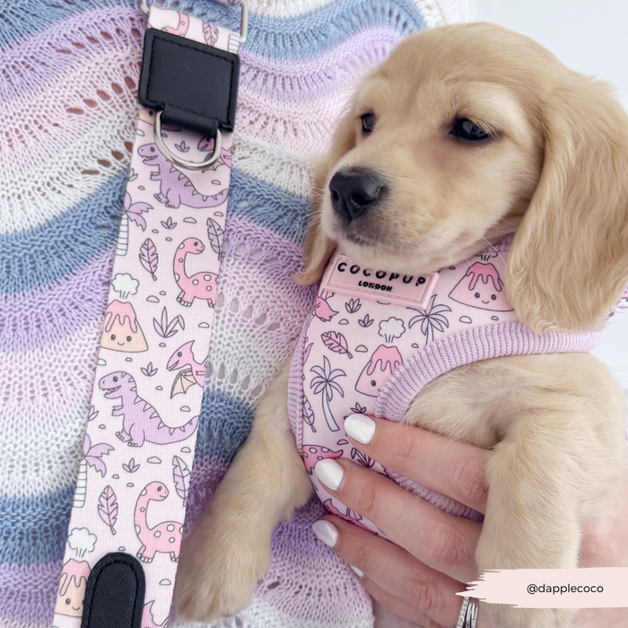 Puppy wearing a pastel green Cocopup London Princess Dino harness, held by someone in a pastel knit sweater.