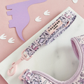 Pink and white leash from the Cocopup London Princess Dino Bundle, shown with adjustable neck harness and collar.