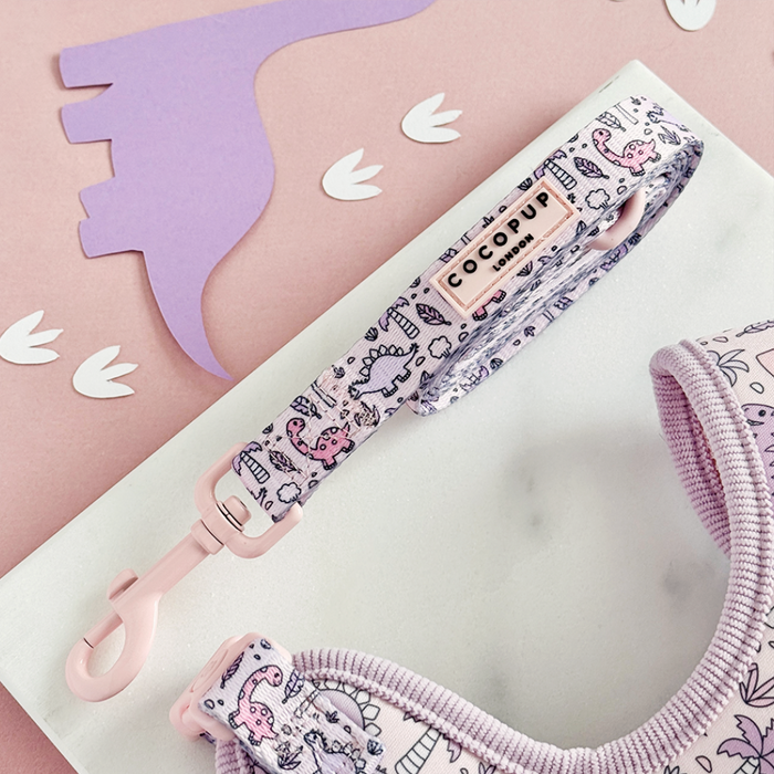 Pink and white leash from the Cocopup London Princess Dino Bundle, shown with adjustable neck harness and collar.