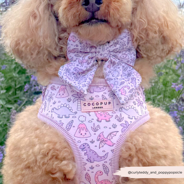 Fluffy dog outdoors wears a Cocopup London Princess Dino Sailor Bow Tie with a pastel dinosaur print, flowers in background.