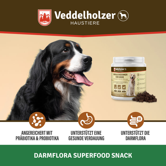 Berner Sennenhund im Profil neben der Dose, drei Icons: Prä- und Probiotika, gesunde Verdauung, Unterstützung der Darmflora