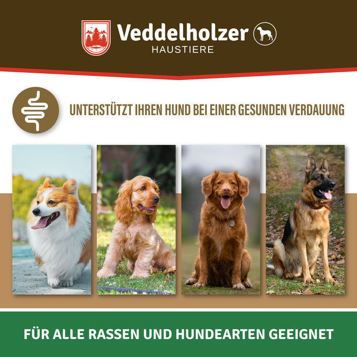 Vier Hunde im Porträt – Corgi, Cocker Spaniel, Retriever und Schäferhund – unter dem Hinweis „Für alle Rassen und Hundearten geeignet“
