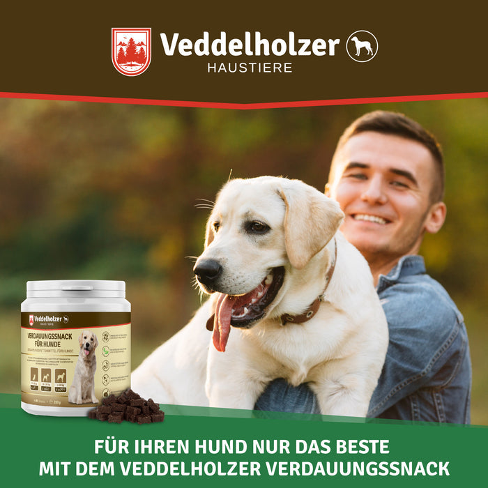 Junger Mann kniet im Herbstpark und hält einen hellen Labrador im Arm, links die Dose mit ausgeschütteten Snacks