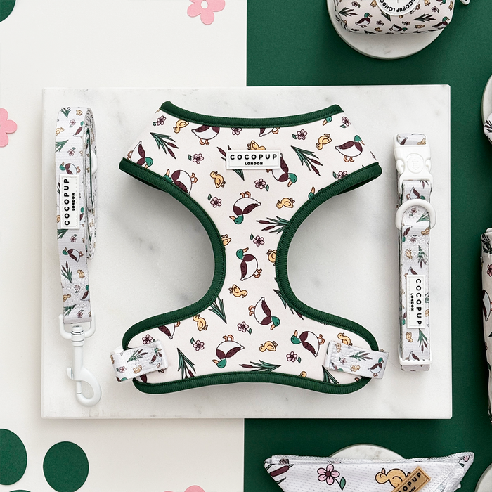 Green-trimmed harness, lead, and collar set with playful duck pattern from Cocopup London.