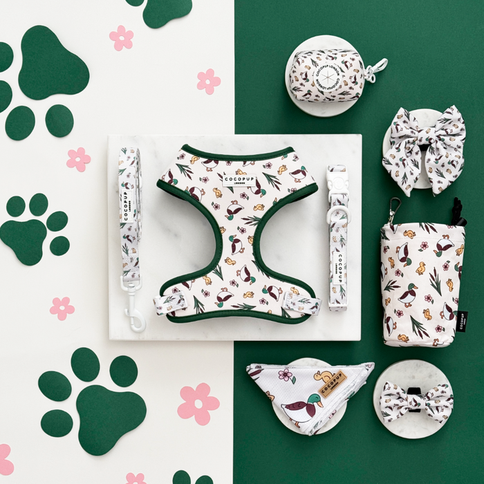 Cocopup London harness, lead, and collar set with nature pattern, shown on split green and white background.