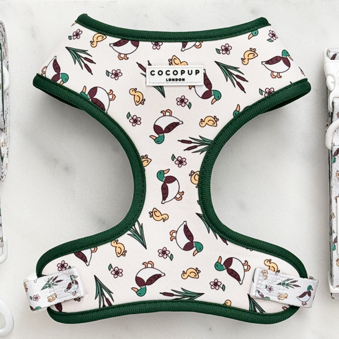 White neoprene harness with green trim and duck and leaf pattern, displayed on a marble surface.