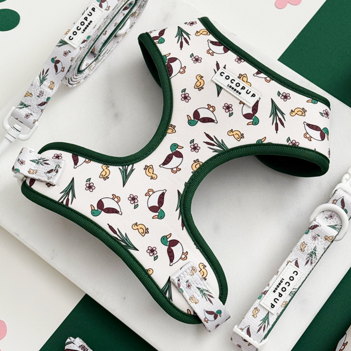 Green-trim harness with duck pattern and matching leash from Cocopup London, adjustable at the neck.