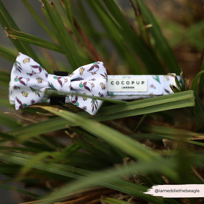 Adjustable Cocopup London dog collar with bird and leaf pattern, lying on green grass.