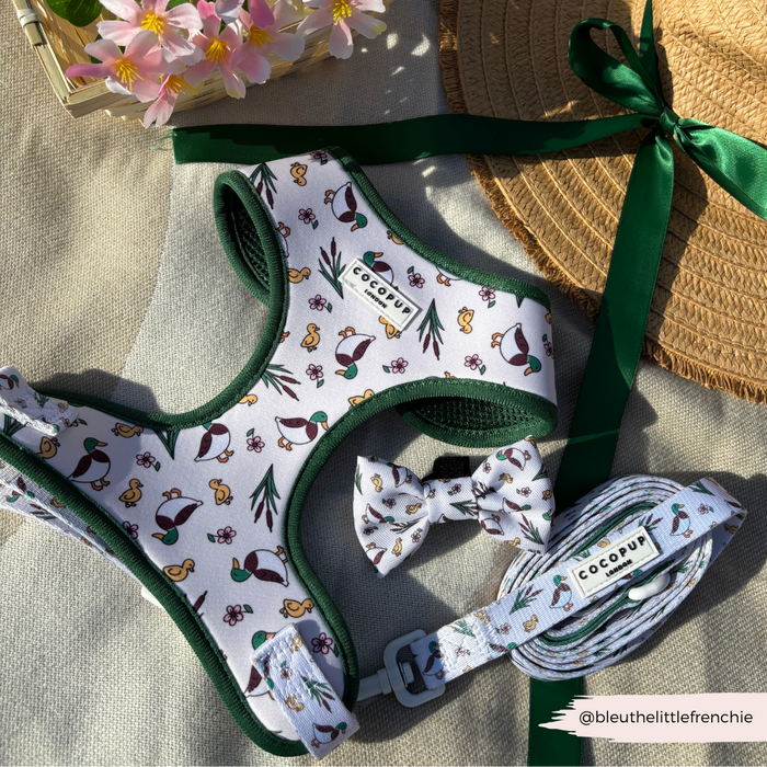 Dog bow tie, harness, and leash set with white duck pattern and green trim from Cocopup London.