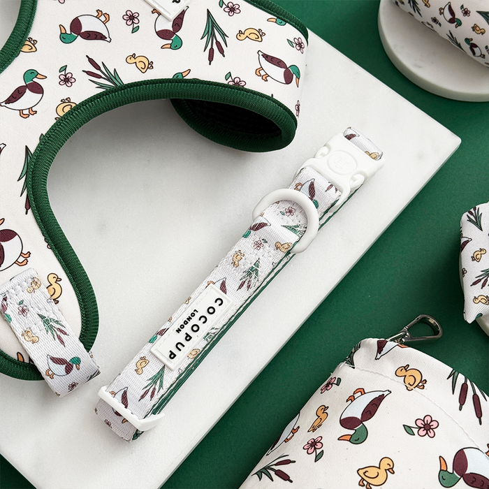 Green and white dog collar with cartoon ducks, leaves, and mushrooms pattern by Cocopup London.