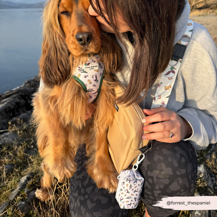 Woman hugging brown spaniel in a patterned bandana and Cocopup London Puddle Pup bag strap by a lake at sunset.
