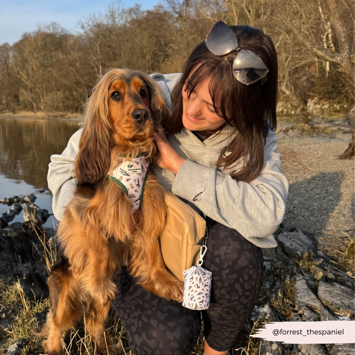 Woman hugs a golden Cocker Spaniel wearing a patterned Cocopup London bandana and tan Puddle Pup Poop Bag Holder by a lake.