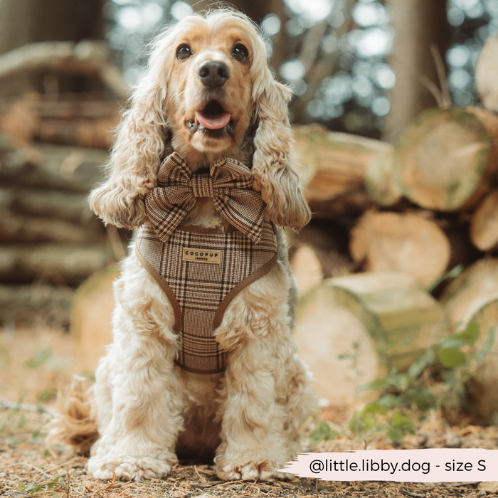 Golden cocker spaniel in a plaid adjustable harness, lead, and collar set sits by stacked logs.