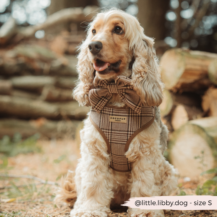 Fluffy dog wearing a Cocopup London plaid adjustable harness sits outdoors in front of stacked logs.