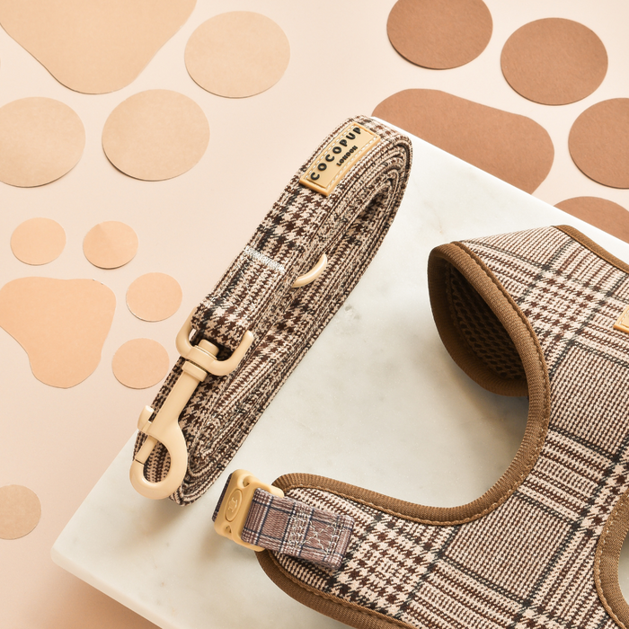 Plaid dog lead with tan and brown pattern, displayed on marble with matching paper cutouts in the background.