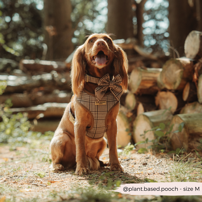 Brown dog wears a plaid Cocopup London Sailor Bow Tie harness, sitting by stacked logs with tongue out.