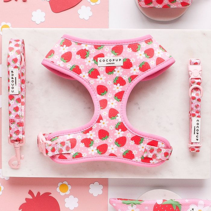 A flat lay photo of the Pupberry Fields Adjustable Neck Harness, Lead & Collar Bundle by Cocopup London, showcasing a pink harness set adorned with a strawberry pattern. The set includes an adjustable neck harness, leash, and collar, all featuring matching designs. The items are beautifully arranged on a white surface with strawberry-themed paper accents surrounding them, making it the perfect ensemble for stylish dog walks.