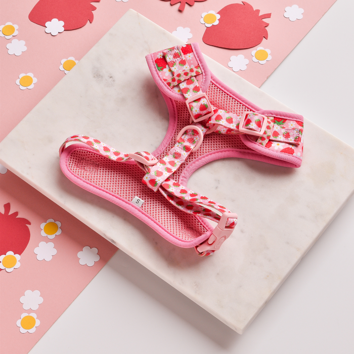 The Cocopup London Pupberry Fields Adjustable Neck Harness, Lead & Collar Bundle features a harmonious strawberry and daisy pattern, elegantly displayed on a white marble slab. The pink paper background decorated with strawberry and daisy cutouts enhances the playful and fresh theme, making it perfect for delightful dog walks.