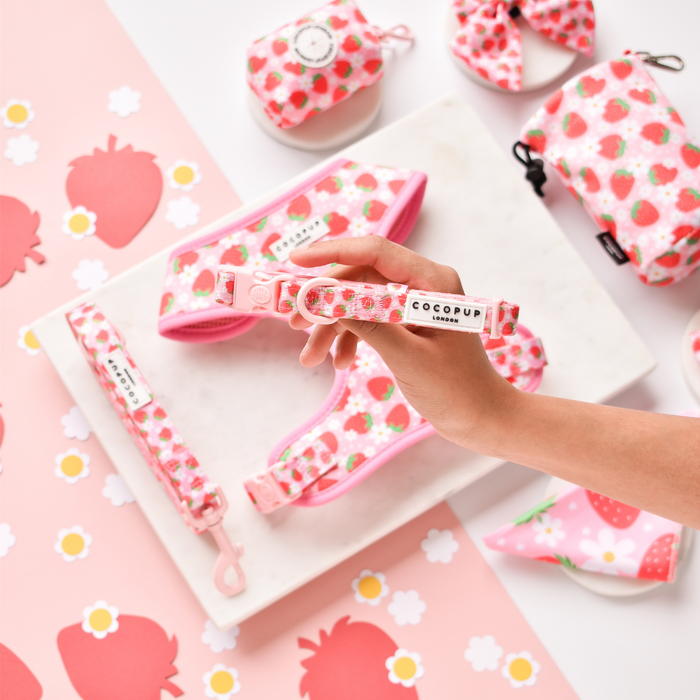 A person is holding a pink dog collar with a strawberry pattern from the Pupberry Fields Adjustable Neck Harness, Lead & Collar Bundle by Cocopup London. The background showcases various dog accessories such as leashes, poop bag holders, and bow ties, all adorned with the same charming strawberry design. The light and colorful setting enhances the delightful strawberry theme, making it perfect for dog walks or pairings within the Pupberry Fields Bundle.