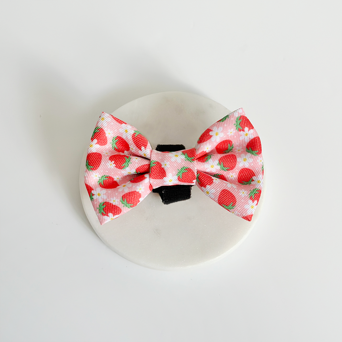Pink dog bow tie with red strawberry pattern from Cocopup London.