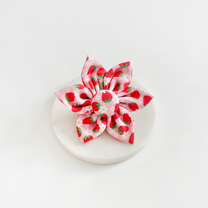 Pink strawberry-patterned pet collar flower from Cocopup London on a round white surface.