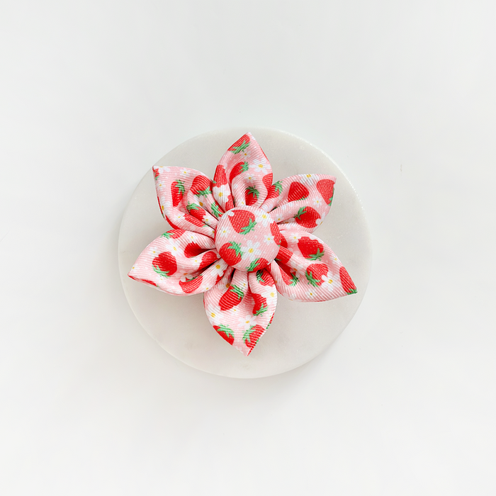 Red collar flower with a strawberry print, designed for dogs by Cocopup London.
