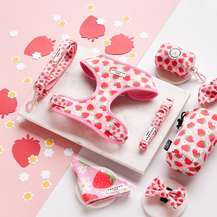 Cocopup London Pupberry Fields dog collar with pink and strawberry pattern on a soft pink background.