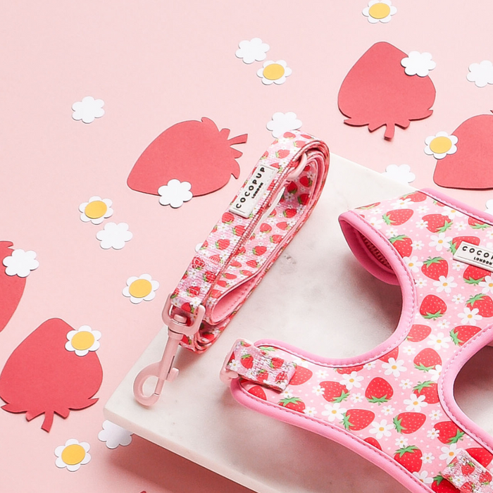 Pink dog lead with a strawberry print design and padded handle.