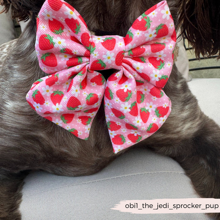 Dog wearing a pink Cocopup London Sailor Bow Tie with strawberry and flower print.