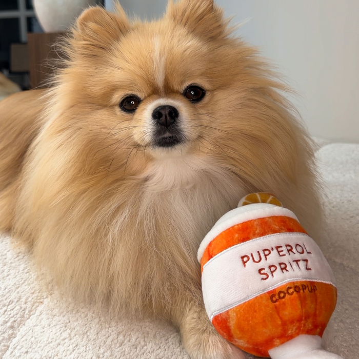 Pup'erol Spritz Dog Toy