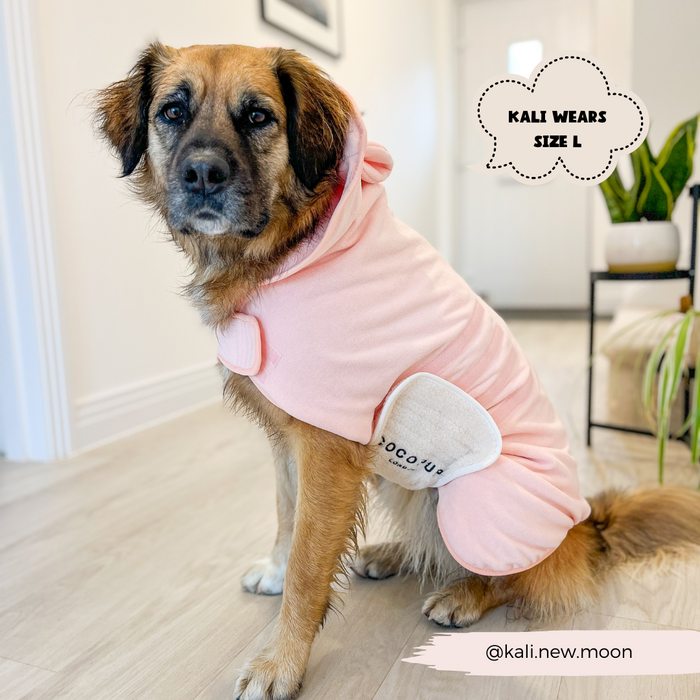 A medium-sized brown dog wearing a PRE-ORDER Pupicorn Drying Robe with a pocket on the side. The robe has a label that reads "Cocopup London." Text on the image reads "Kali wears size L" and "@kali.new.moon." The dog is sitting inside a bright, modern room. Kali looks cozy in her unicorn-inspired robe.