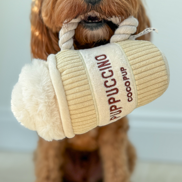Brown dog with a plush Cocopup London Puppuccino toy shaped like a coffee cup.