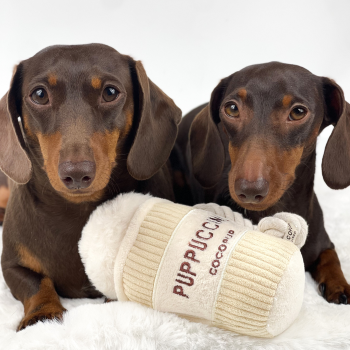 Two brown dachshunds on a white blanket with a plush Cocopup London Puppuccino Dog Toy between them.