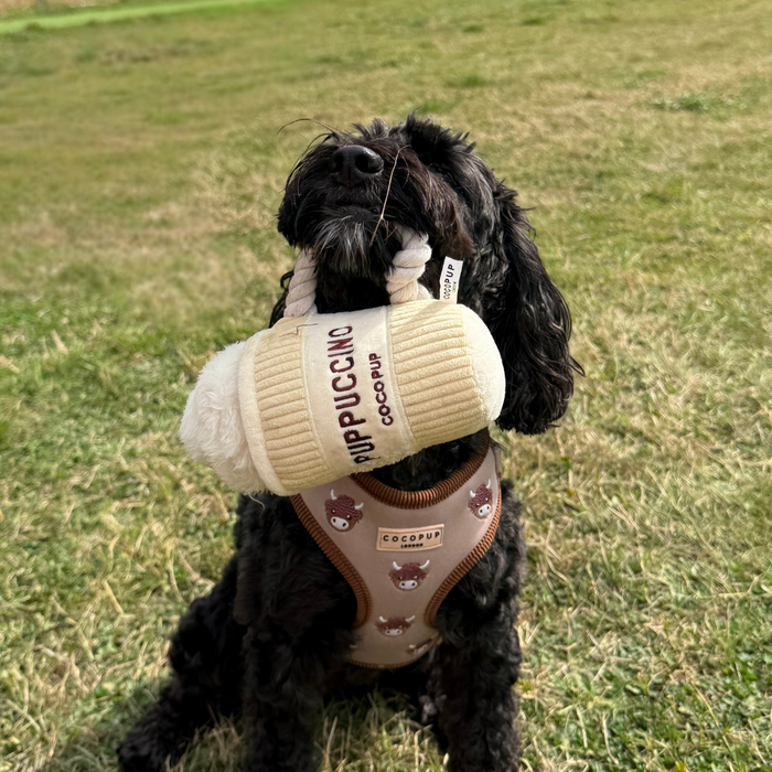 Black dog in a brown harness sits on grass, holding a plush Puppuccino Dog Toy from Cocopup London in its mouth.