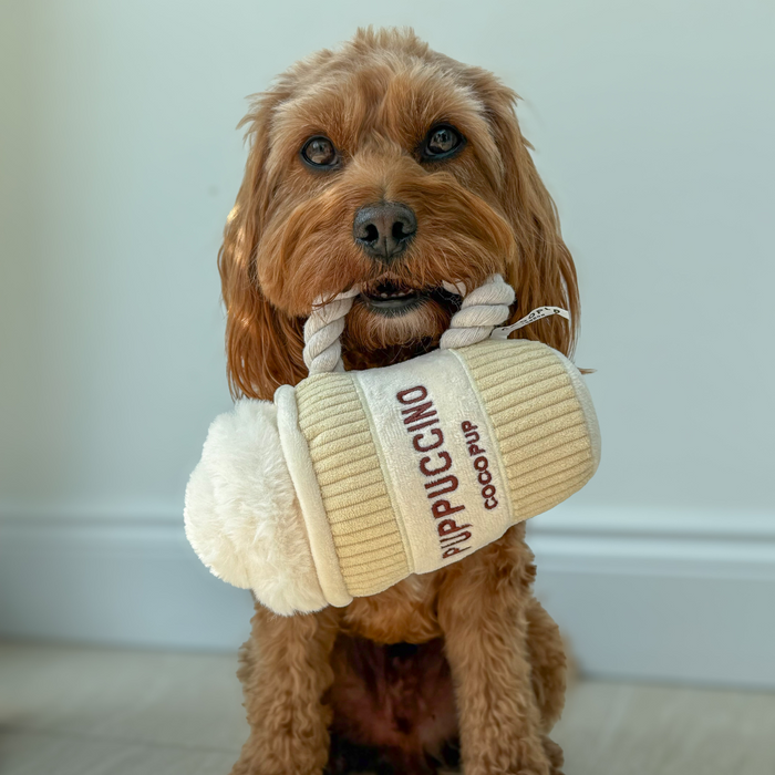 Brown dog indoors holding a tan Cocopup London Puppuccino plush dog toy with white top and brown sleeve in its mouth.