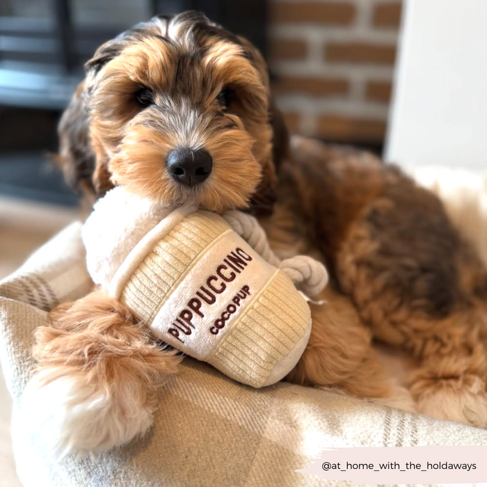 Fluffy dog cuddling a plush Cocopup London coffee cup toy while resting on a soft blanket.