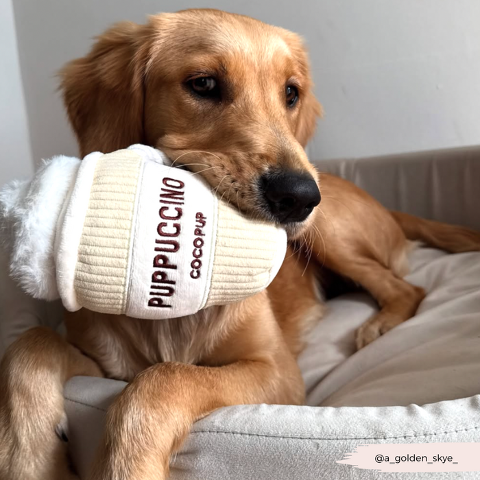 Golden retriever lying on a dog bed, holding a white Cocopup London Puppuccino plush toy in its mouth.
