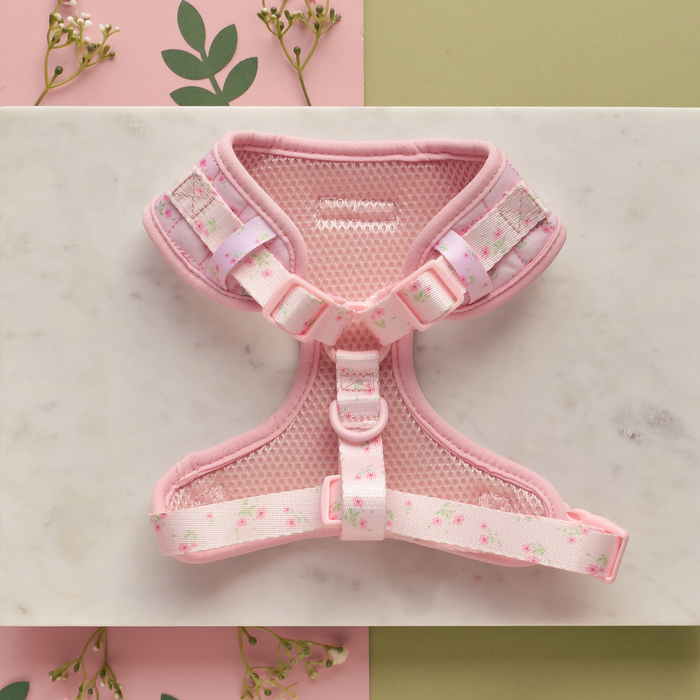 Pink quilted dog harness with ditsy floral pattern, shown with matching collar and lead.
