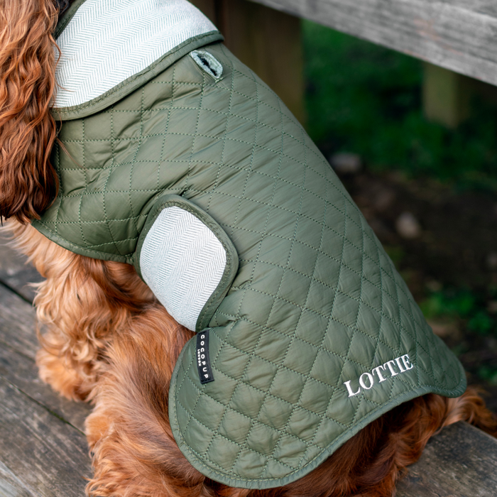Brown dog wearing a khaki Cocopup London quilted coat with LOTTIE embroidered, sitting outside.