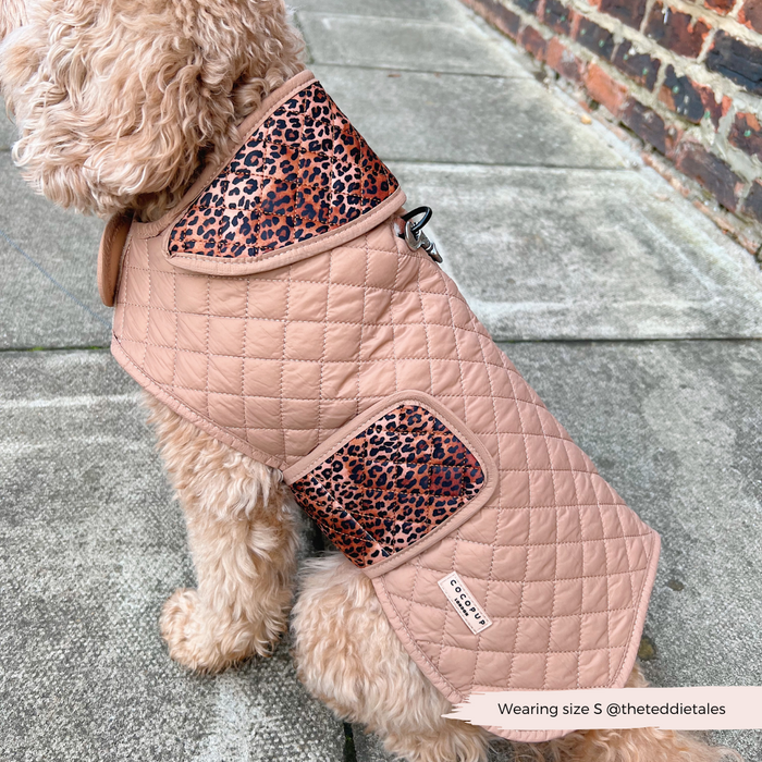 Light brown dog wearing a Cocopup London leopard print quilted coat sits on a sidewalk next to a brick wall.